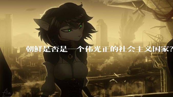 朝鲜是否是一个伟光正的社会主义国家？