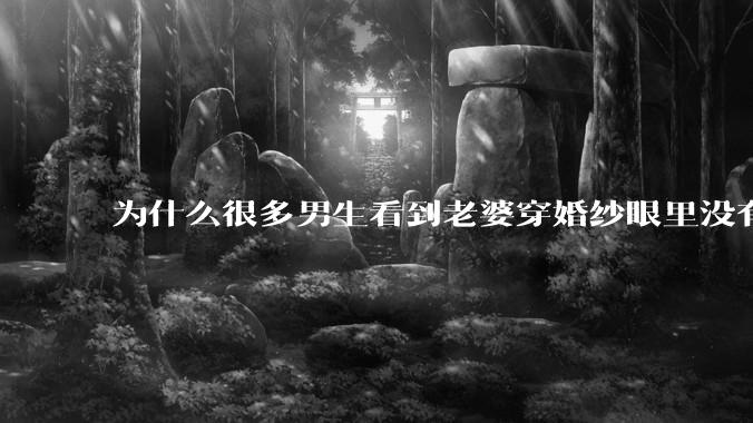 为什么很多男生看到老婆穿婚纱眼里没有光?